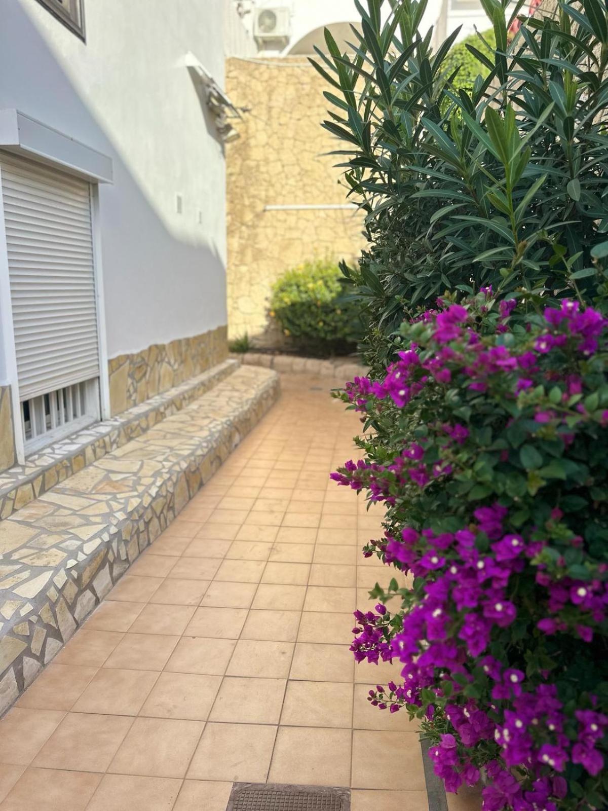 Sunny Sea View Apartment Center Of Las Americas Playa de las Américas Eksteriør billede