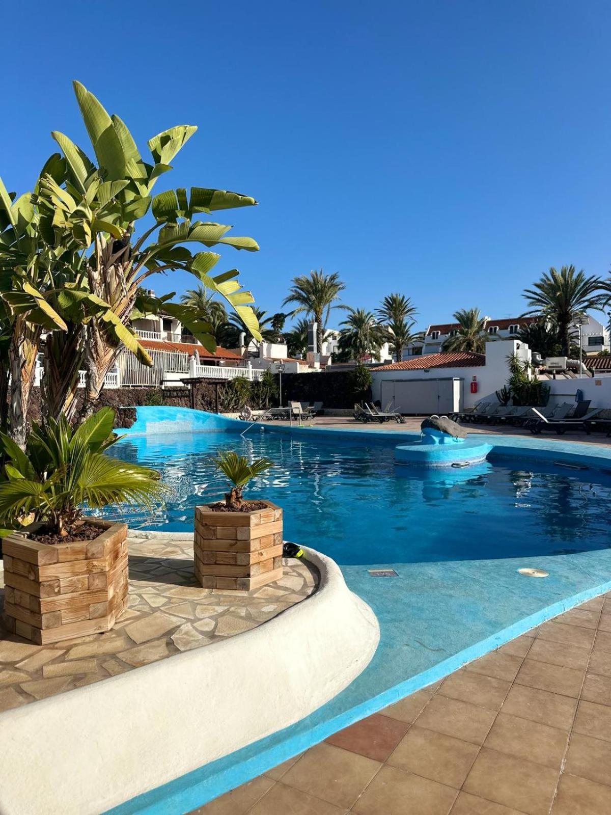 Sunny Sea View Apartment Center Of Las Americas Playa de las Américas Eksteriør billede